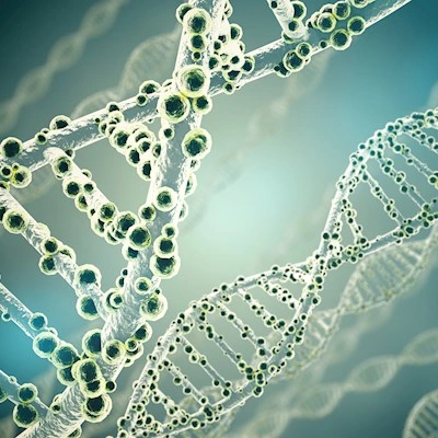 EU Reference Laboratory for Public Health on Antimicrobial Resistance in bacteria