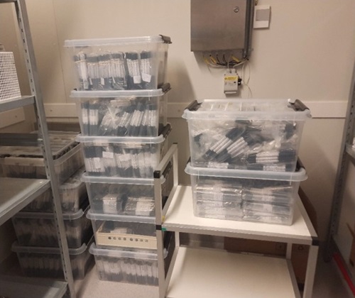 Plastic boxes with bacterial strains in transport media for the EARSS-Net EQA 2025 at the Technical University of Denmark.