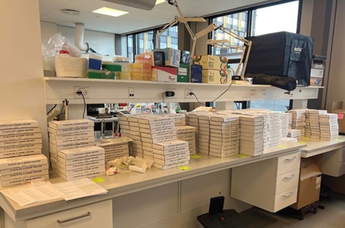 Laboratory bench with stacks of boxes containing EARSS-Net EQA 2025 culture sets. 